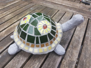 Schildkröte